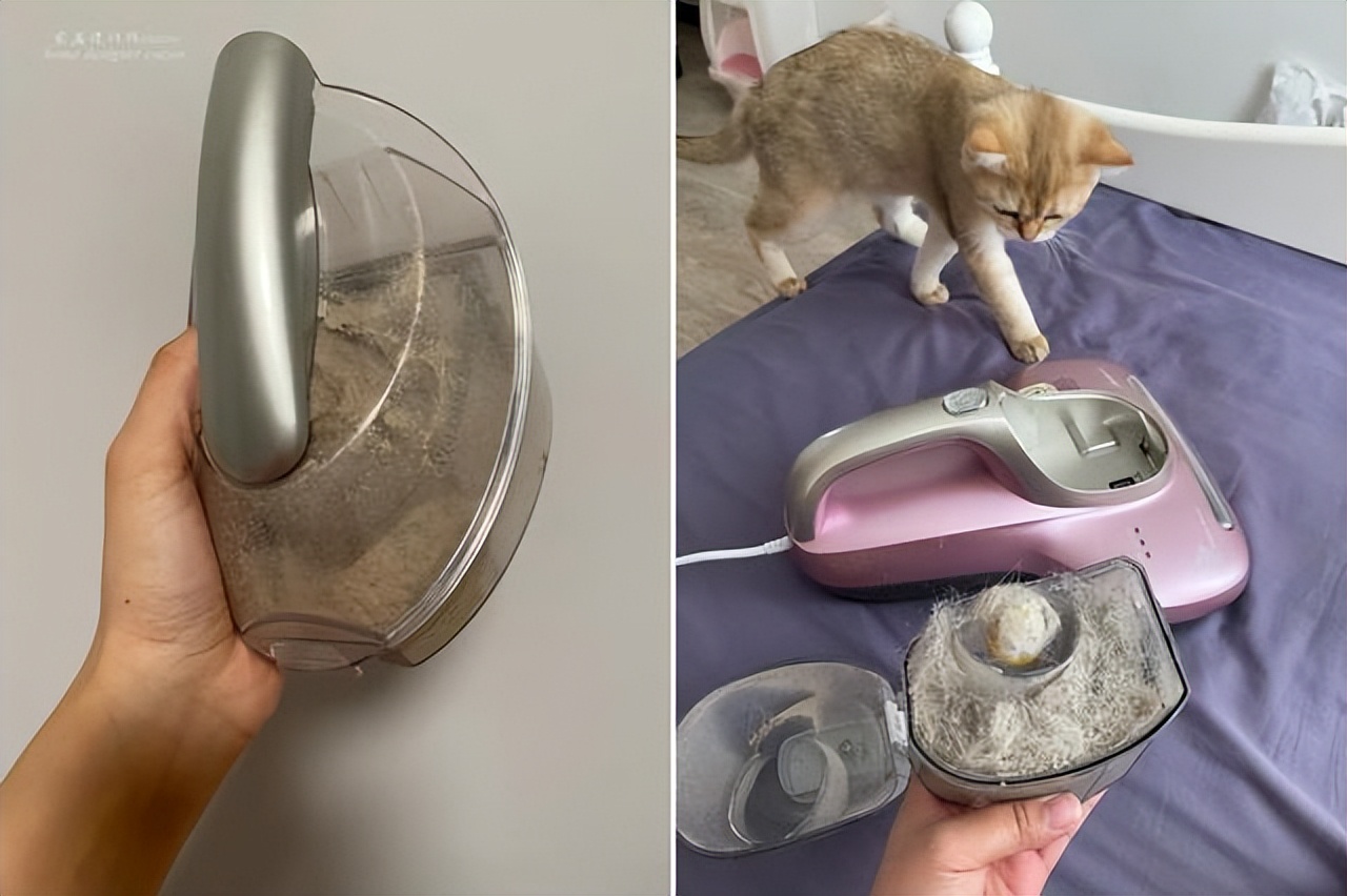 别再被假东西骗了,别再被这些假国货给骗了