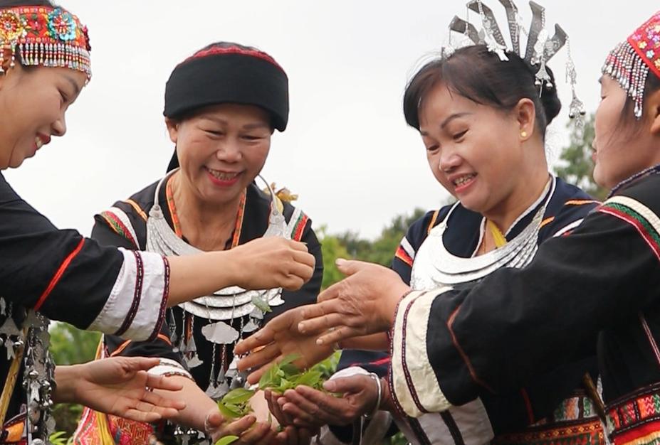 独属北纬18度的绝妙口感！揭秘五指山红茶，从饮品到艺术的升华