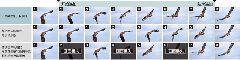 尼康外拍活动创意营重庆,尼康创意营外拍活动