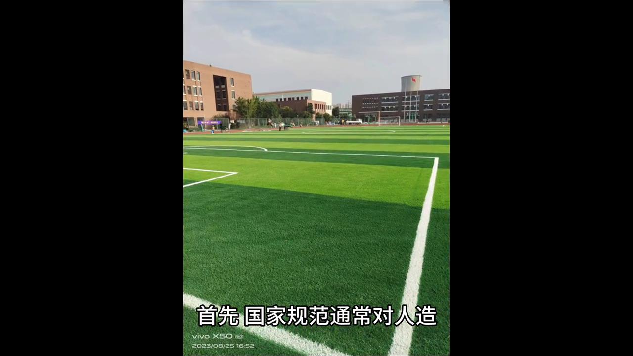 国标足球场人造草坪,新型人造草坪足球场