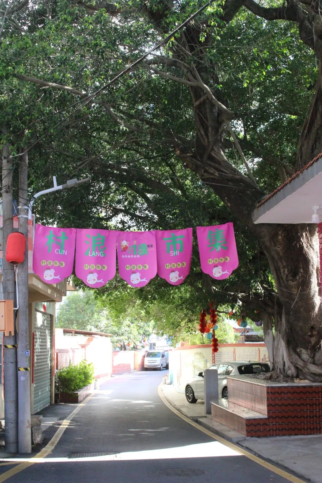 年轻人都爱来！“流量密码”被后溪村玩明白了！