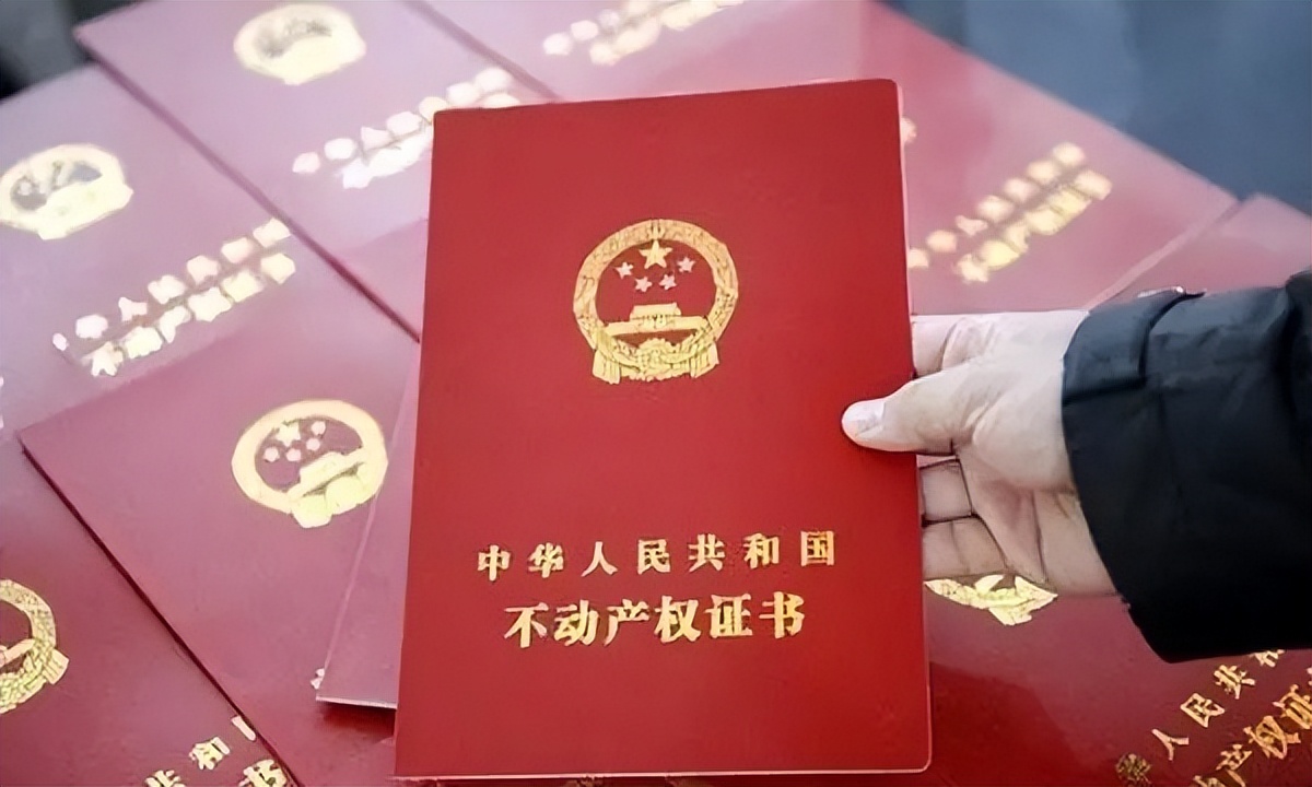 太悲催！广西一女老板欲再婚，被弟妹算计财产成通缉犯，后怎样