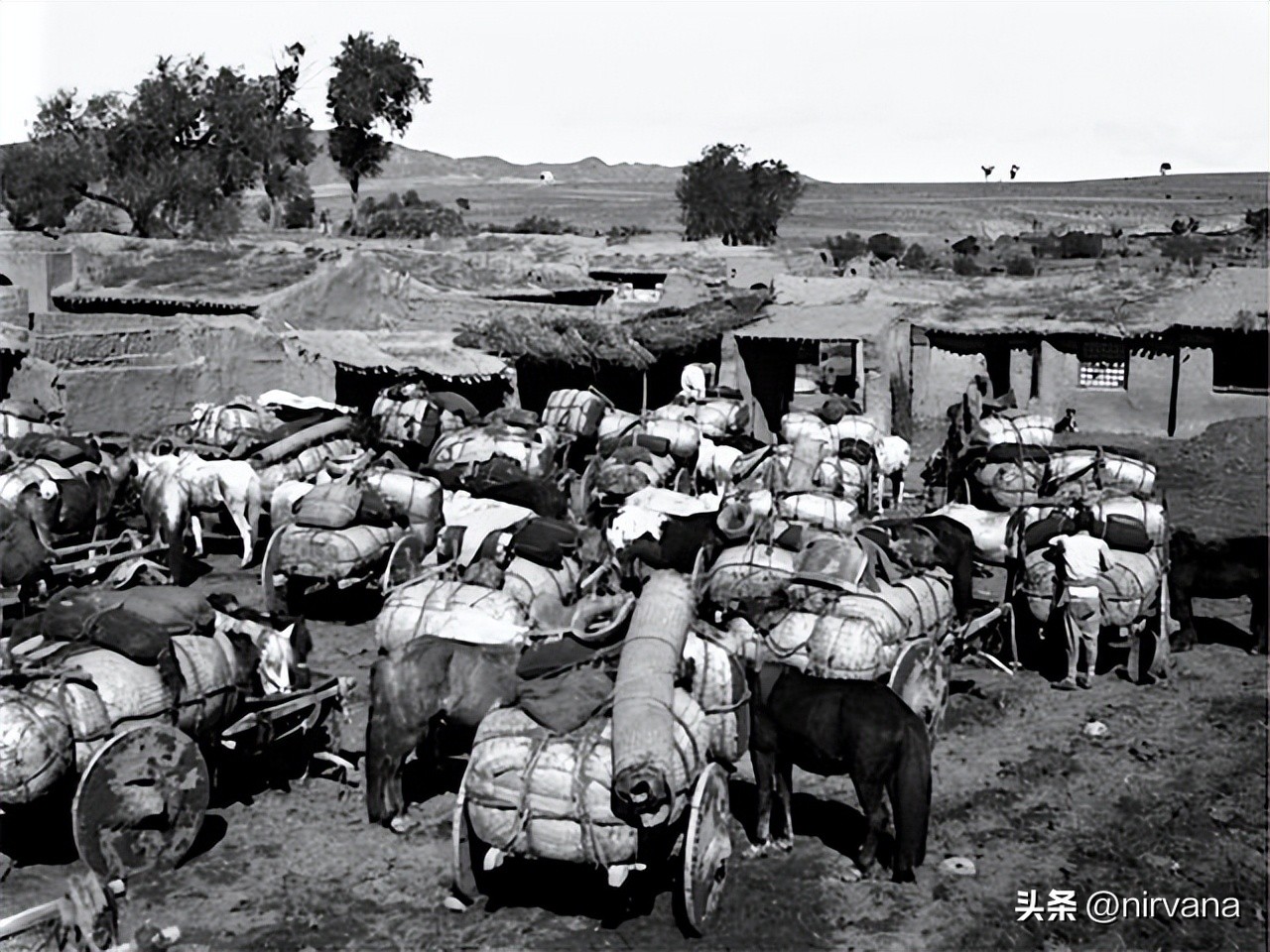 抗日战争女杰,抗日战场女司令