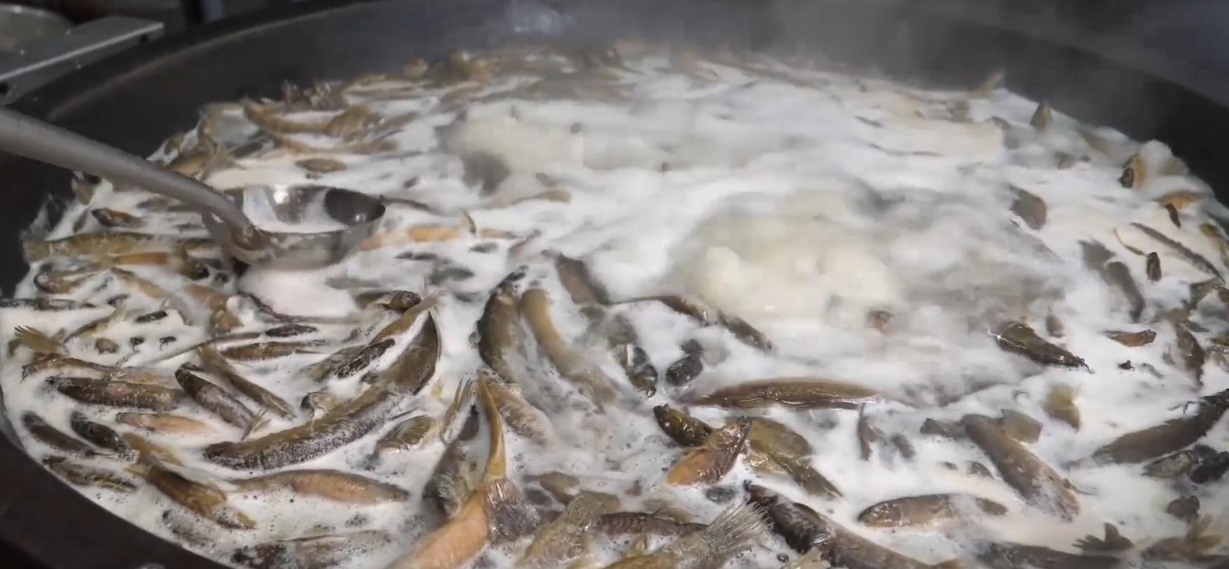 韩国大补汤泥鳅,韩国正宗泥鳅汤