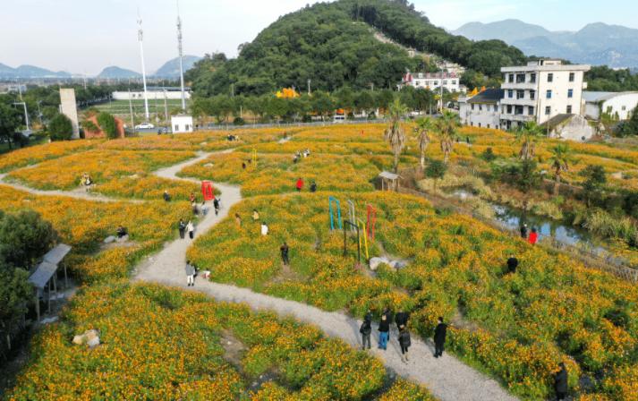 苏州虎丘区浒关镇华侨村,华侨新村荒废别墅