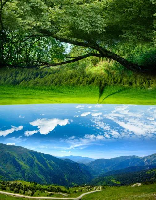 真实大自然风景图片手机壁纸,花草树木壁纸高清风景图片