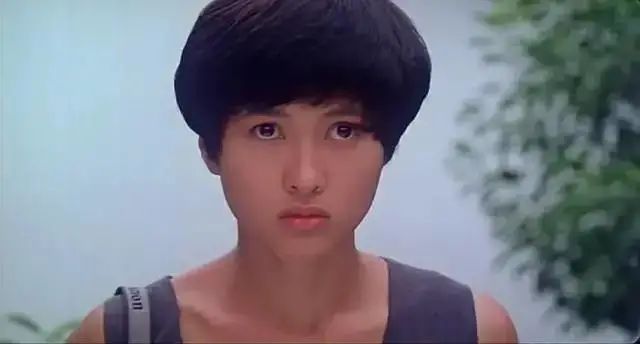 香港曾经的十大武打女明星,香港影坛十大女星