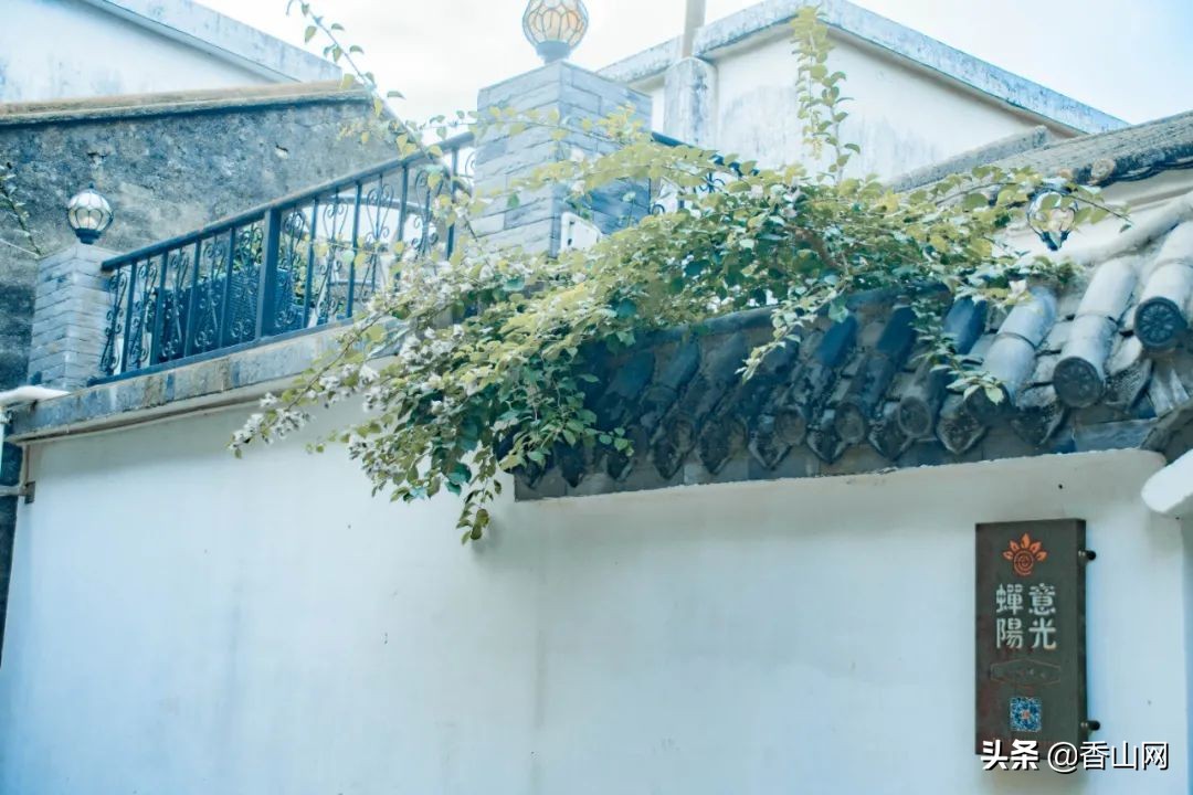 珠海值得去的海岛,珠海最适合游玩的海岛