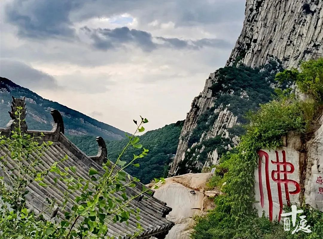 100个佛学基本名词,佛学名词解释大全