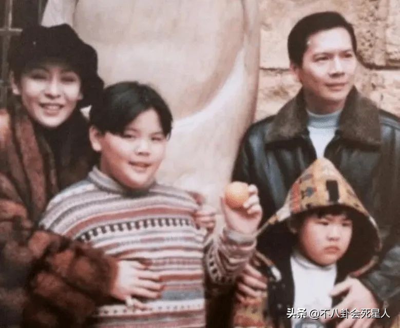 李小龙丁佩向华强陈岚的关系,向华强老婆是丁佩还是陈岚