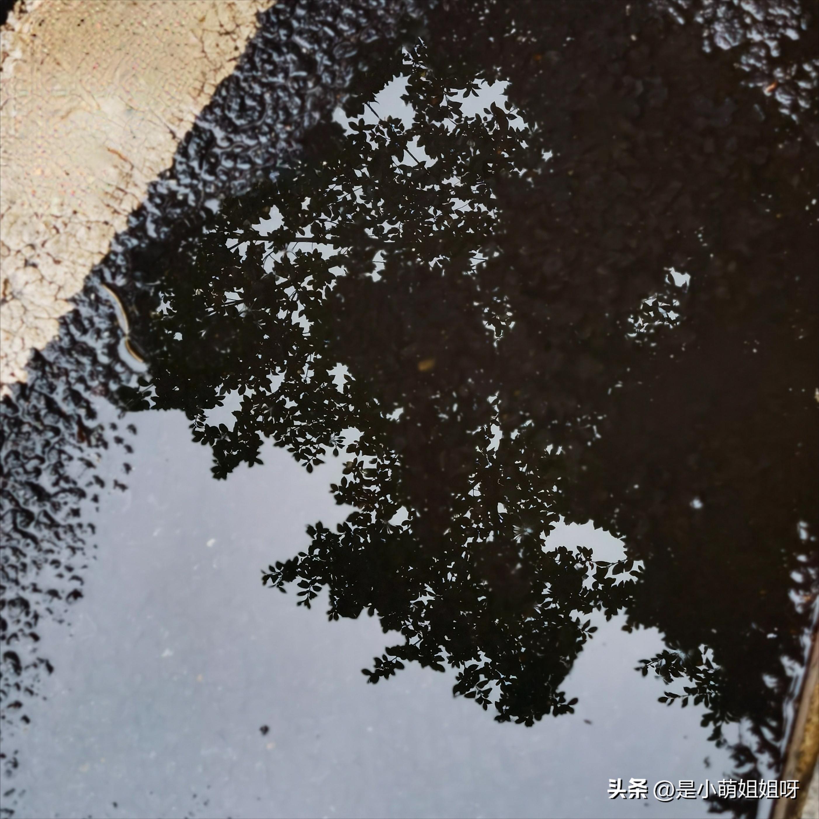 2023已过半，我赚到了19万，原来半年的时间可以做成这么多事