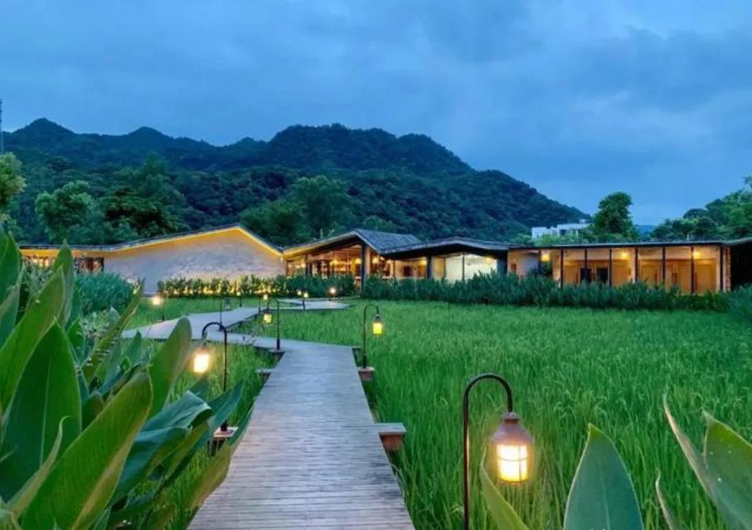 谭正平农业专家简历图片高清版,重庆市农科院谭正平