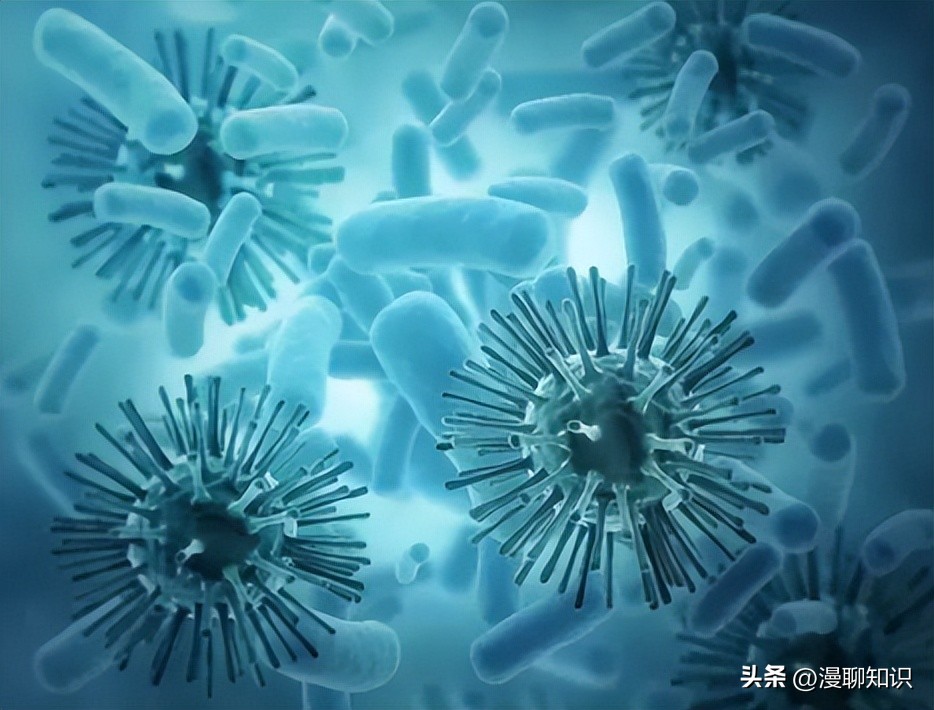 马传染病的传播,马传染性子宫炎