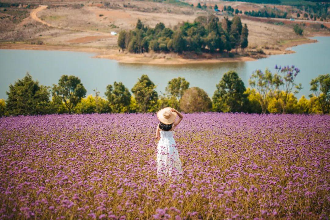 三月机票最便宜性价比最高的旅游,机票最便宜的旅游地7月