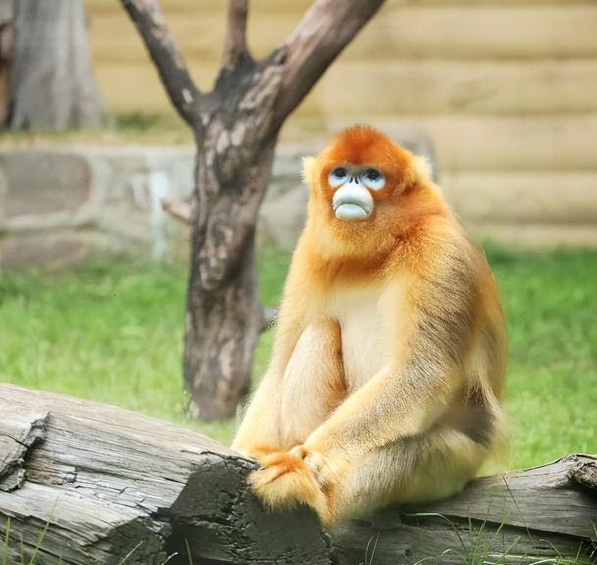 西安旅游学生攻略,西安旅游攻略详细学生