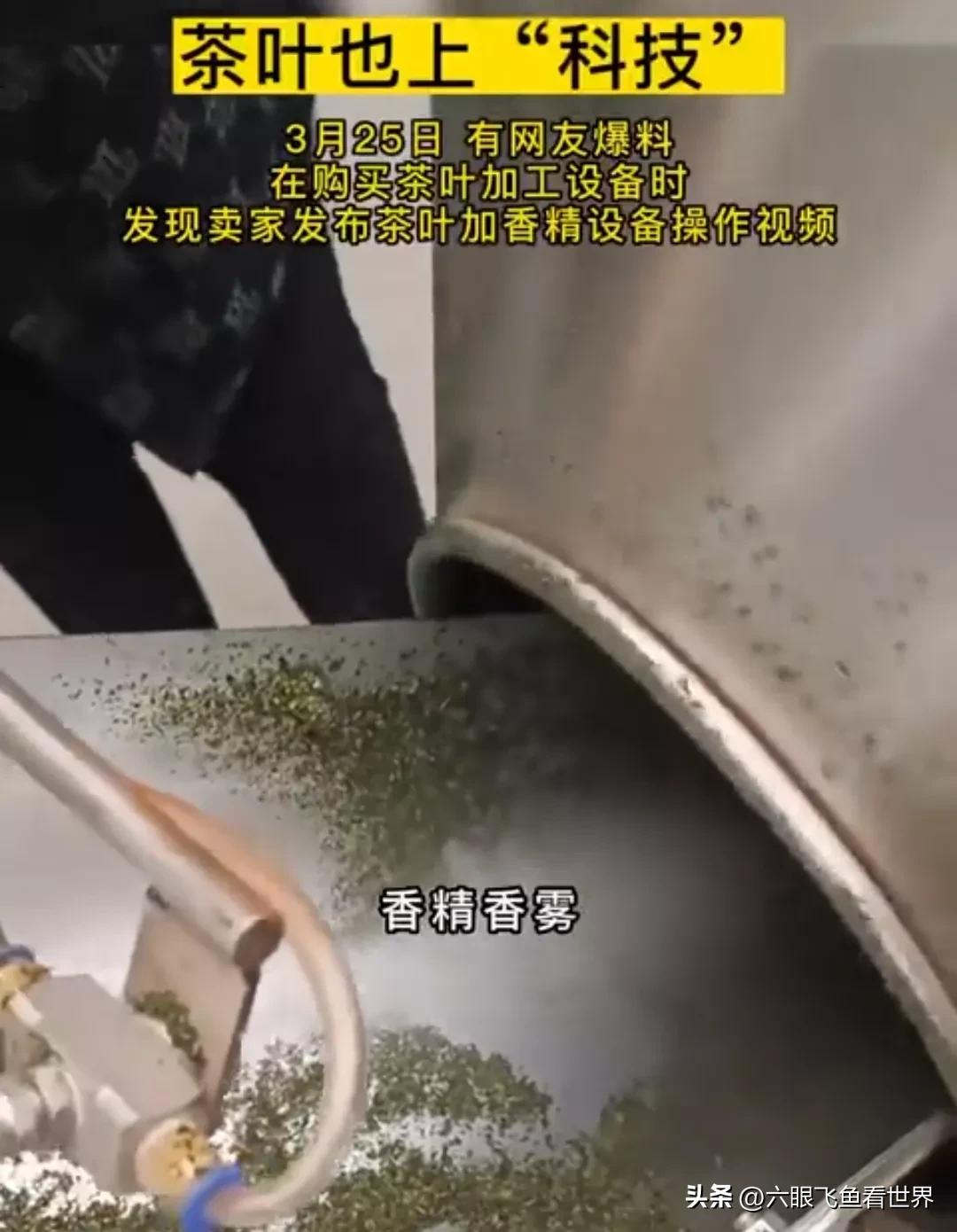 茶叶也有科技吗,茶树茶叶全是虫洞喷什么药