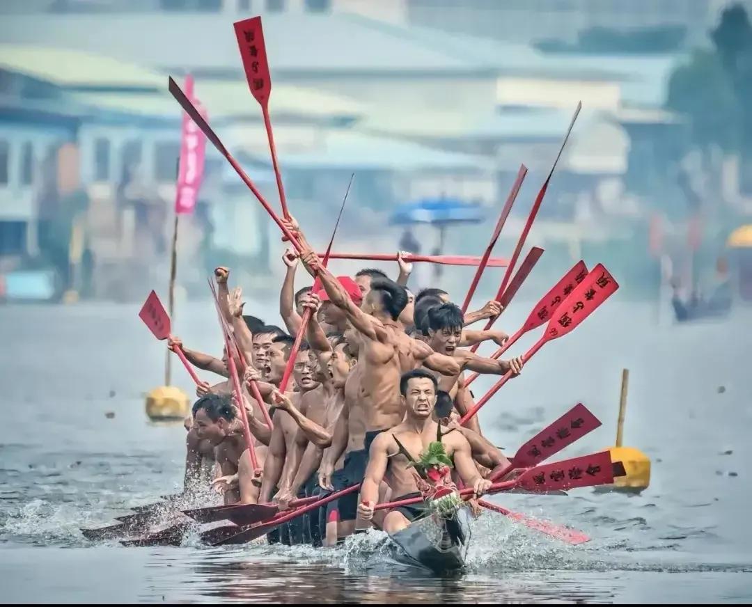 小鲜肉型肌肉男,龙舟赛肌肉男对比小鲜肉