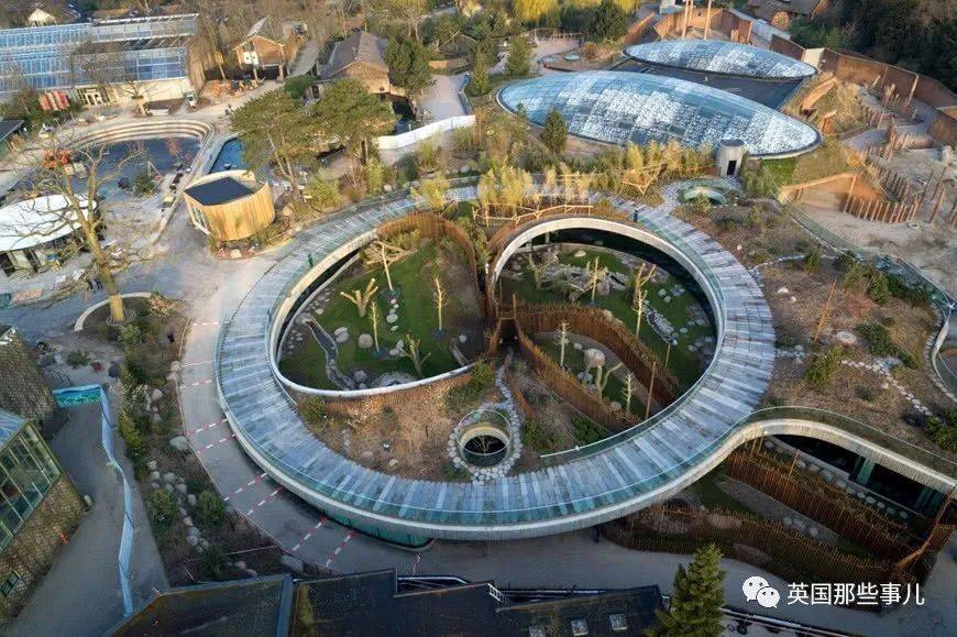 在美国大熊猫回国了吗,目前旅居国外的大熊猫有哪些