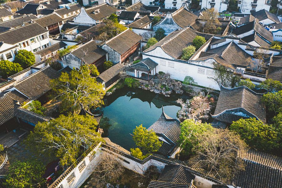 日本枯山水景观,日本枯山水中的树是什么树