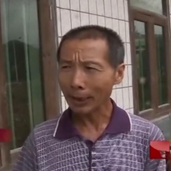 树林里出现一具女尸,树林里出现女尸