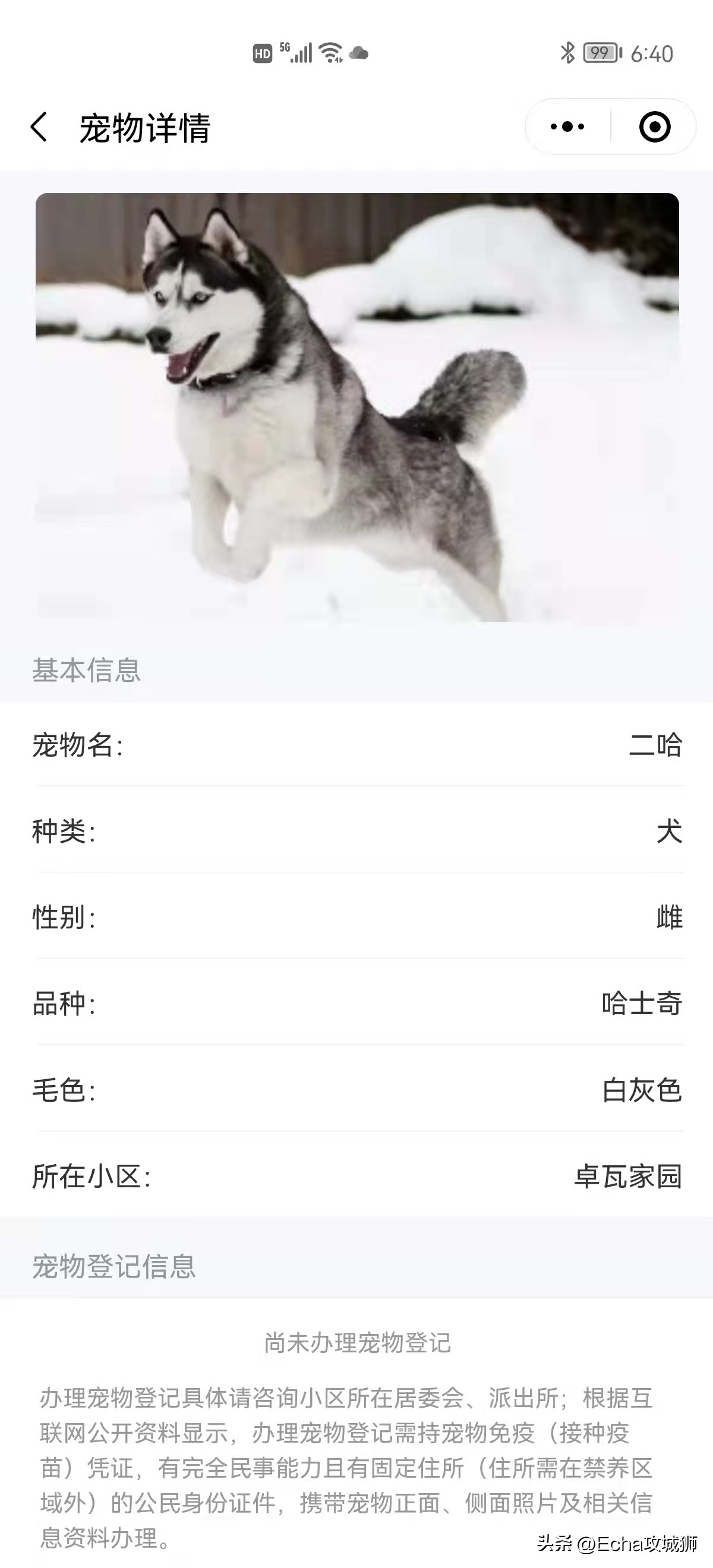 接私活开源项目,接私活赚的钱需要什么比例分成