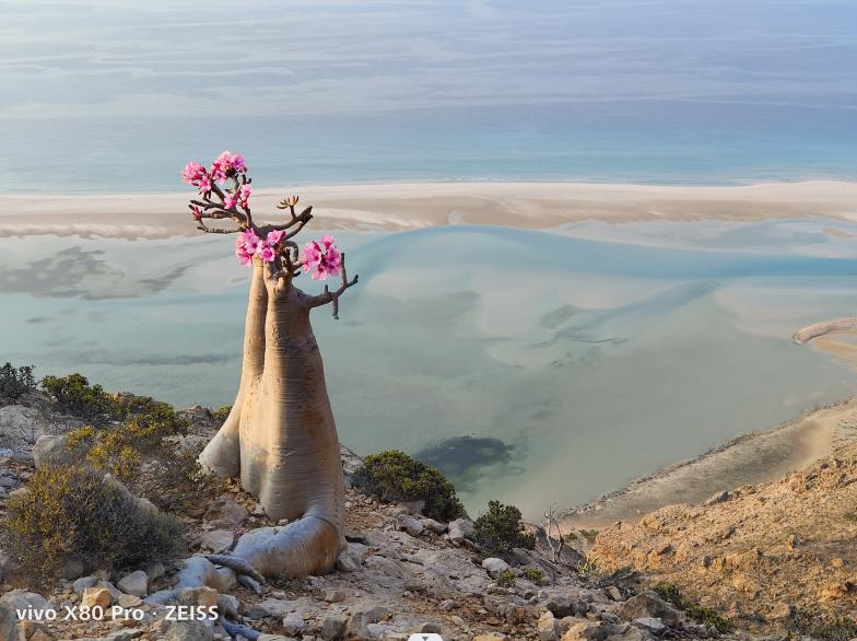 vivo手机玩电脑游戏免费无限时长,vivo影像软件