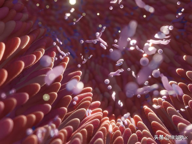 为什么脸上的油那么多冬天也多,脸上油多真的不好吗