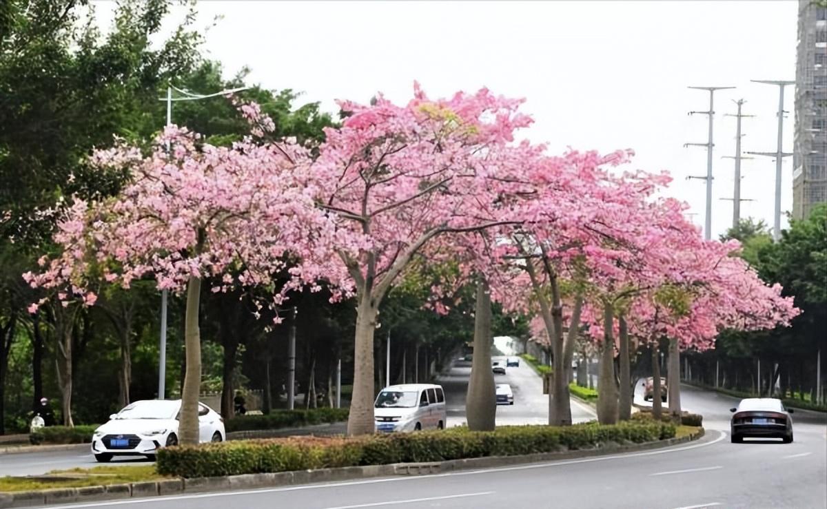 南宁必去十大景点排名,南宁旅游必去十大景点排名最新