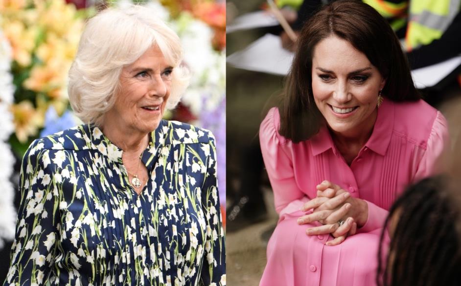 王室屈膝礼凯特卡米拉,英王室为什么不接受卡米拉