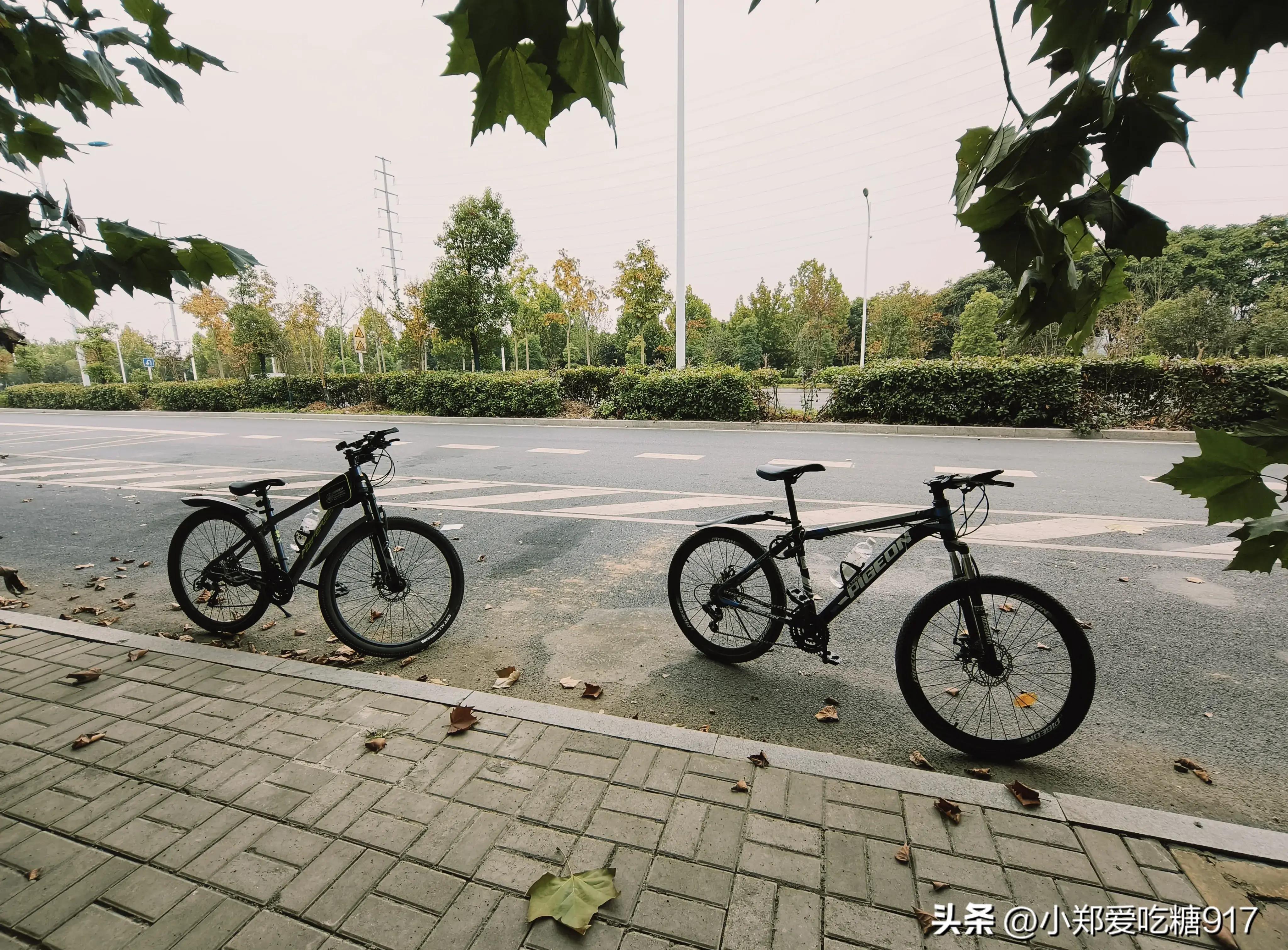 美利达捷安特哪个价格便宜,喜德盛美利达捷安特哪个实体店多