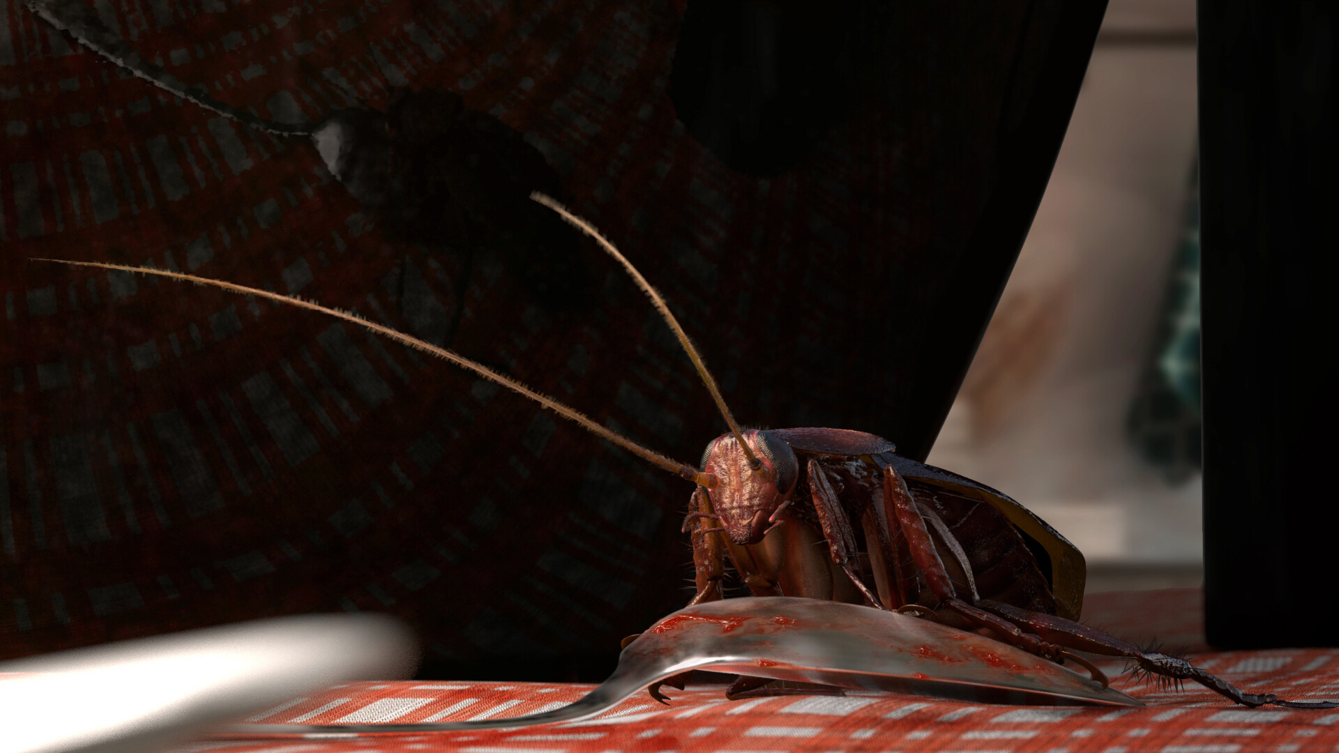 5000只蟑螂入境被查获,2000只活体蟑螂入境