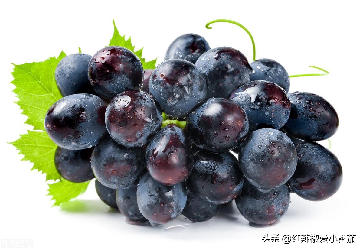 夏天消暑的四种水果记得吃哦,盛夏消暑最解渴的水果