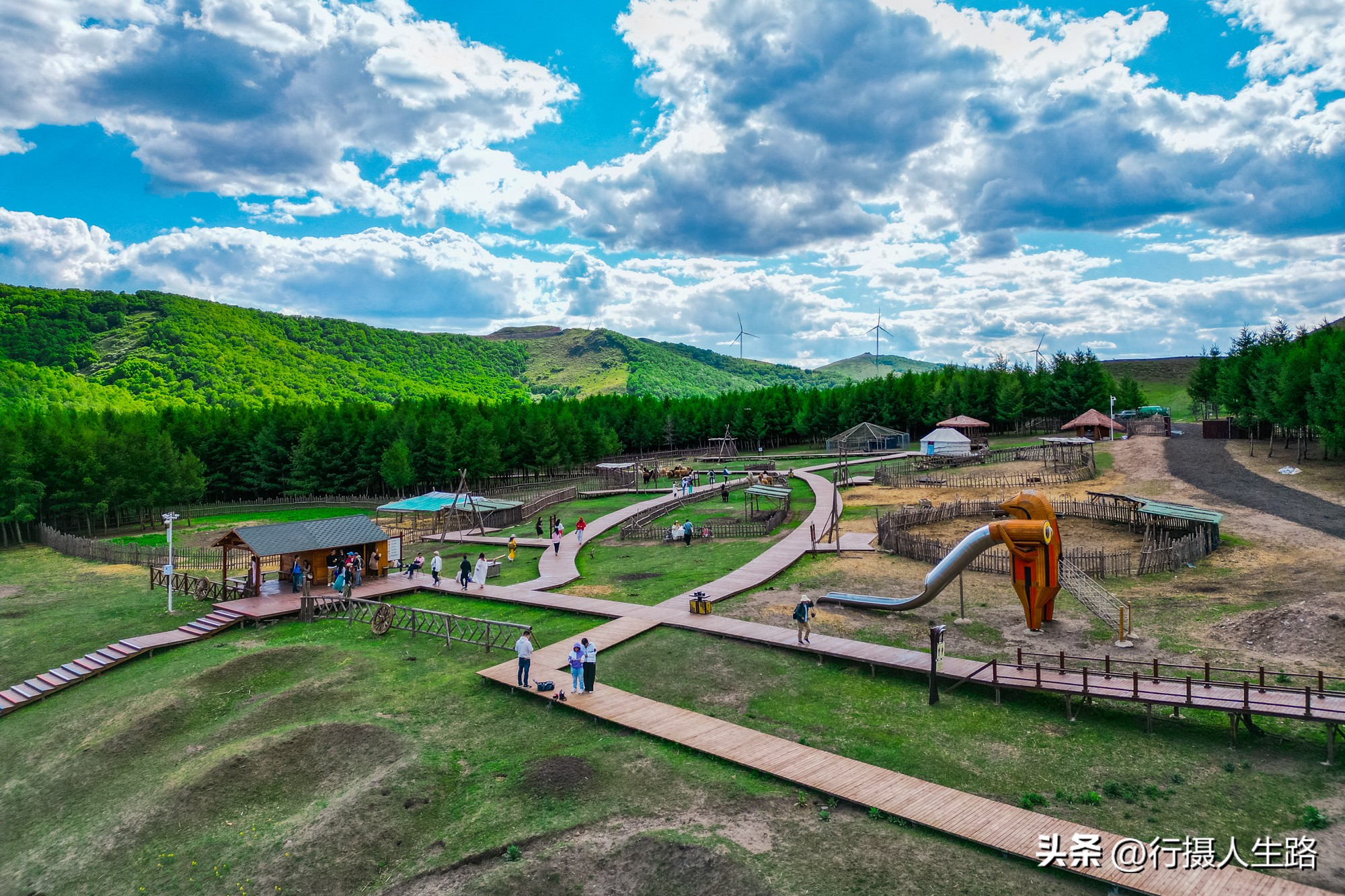 一路向北去黑龙江漠河,一路向北去寻找花海