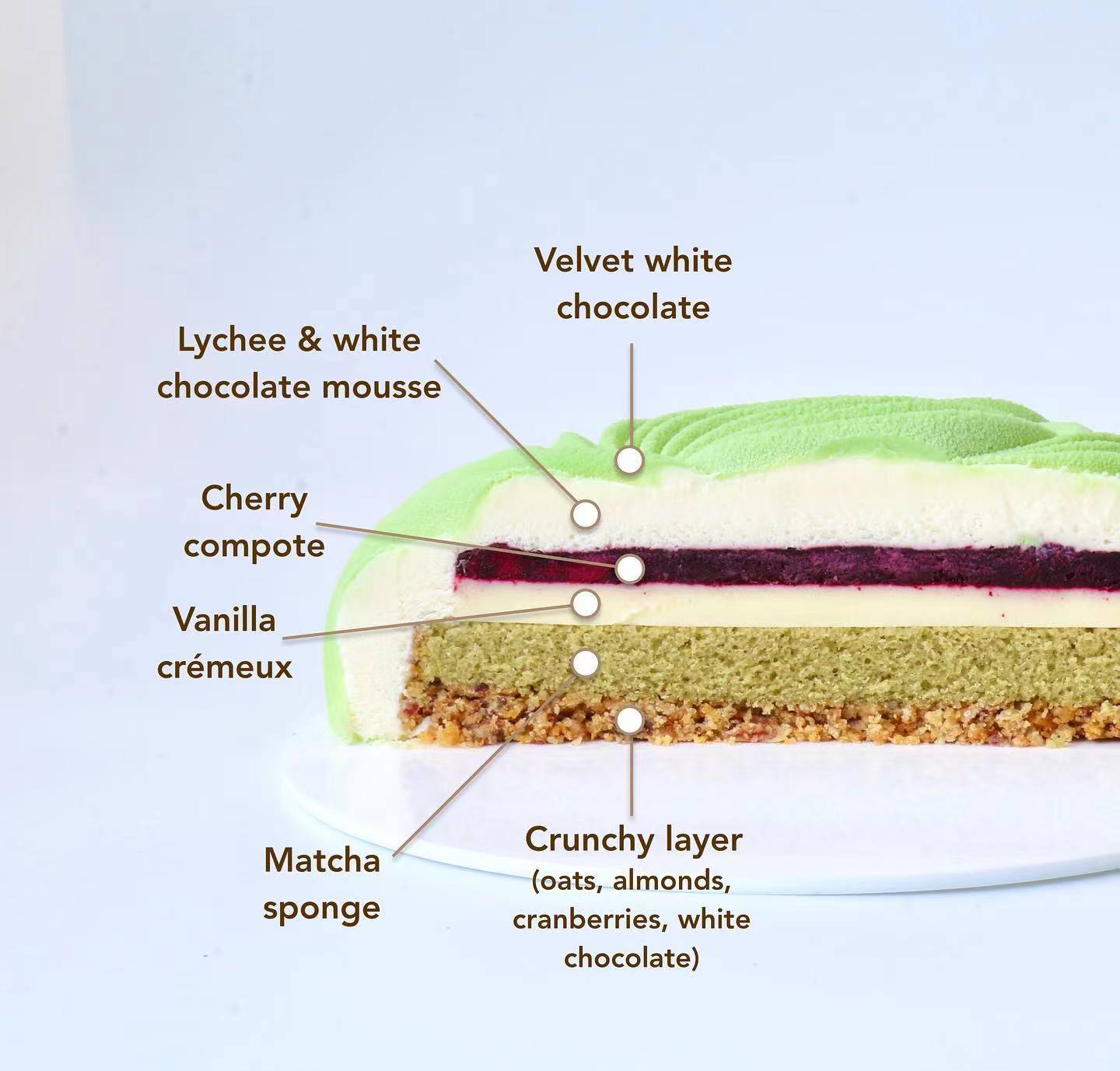 蛋糕切面,蛋糕两层夹心切面图片