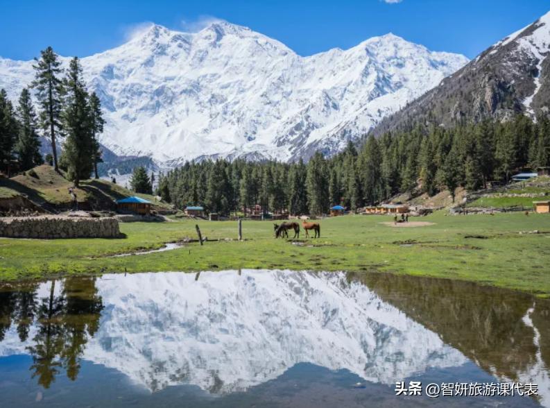 关于巴基斯坦的冷知识有哪些,告诉你一个真实的巴基斯坦