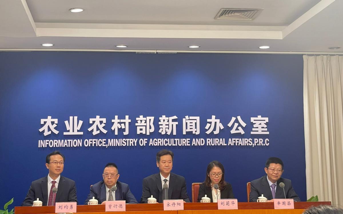 反制来了？中国大批取消美玉米订单并加强监管，利好巴西玉米进口