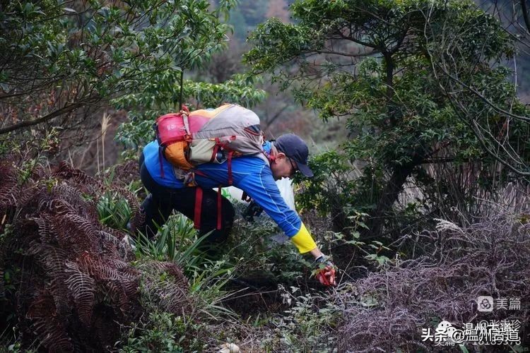 温州最高峰,温州十大最高山峰