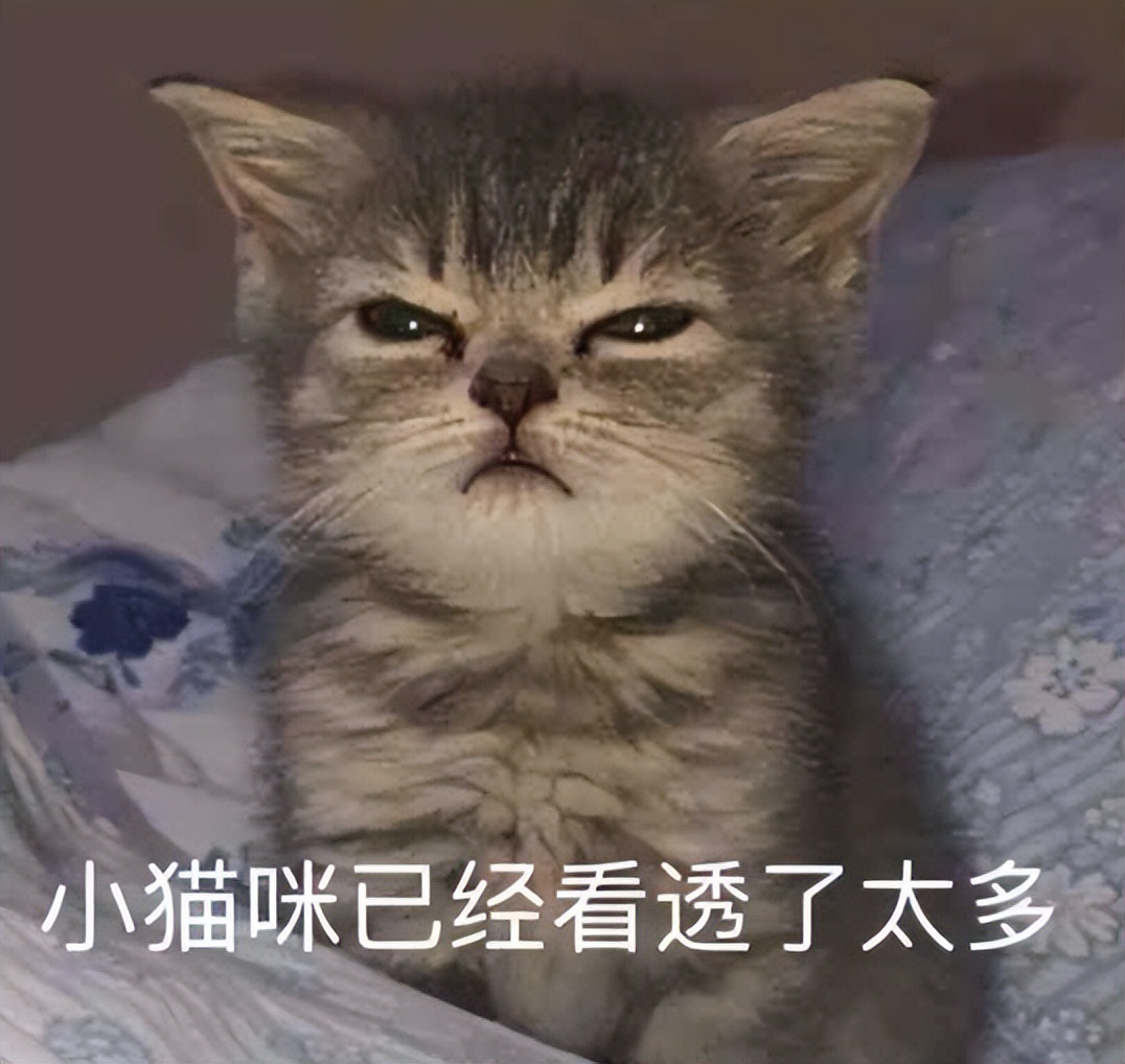 没有钱想创业怎么办,没有钱可以去创业吗