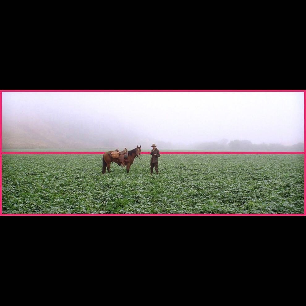 色彩和色调在电影的作用,色彩在电影中的作用及意义
