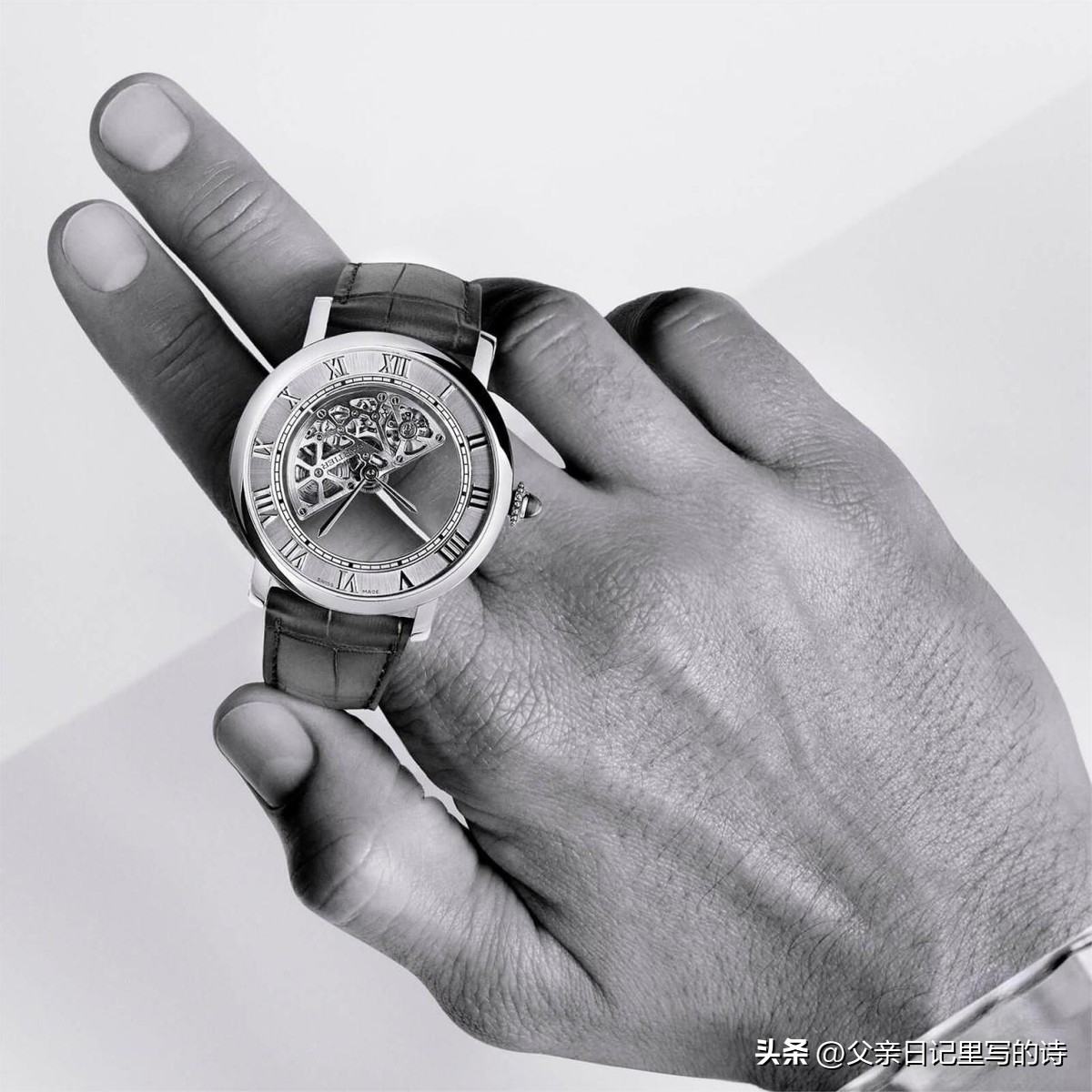 pp鹦鹉螺腕表,鹦鹉螺手表哪一款好看