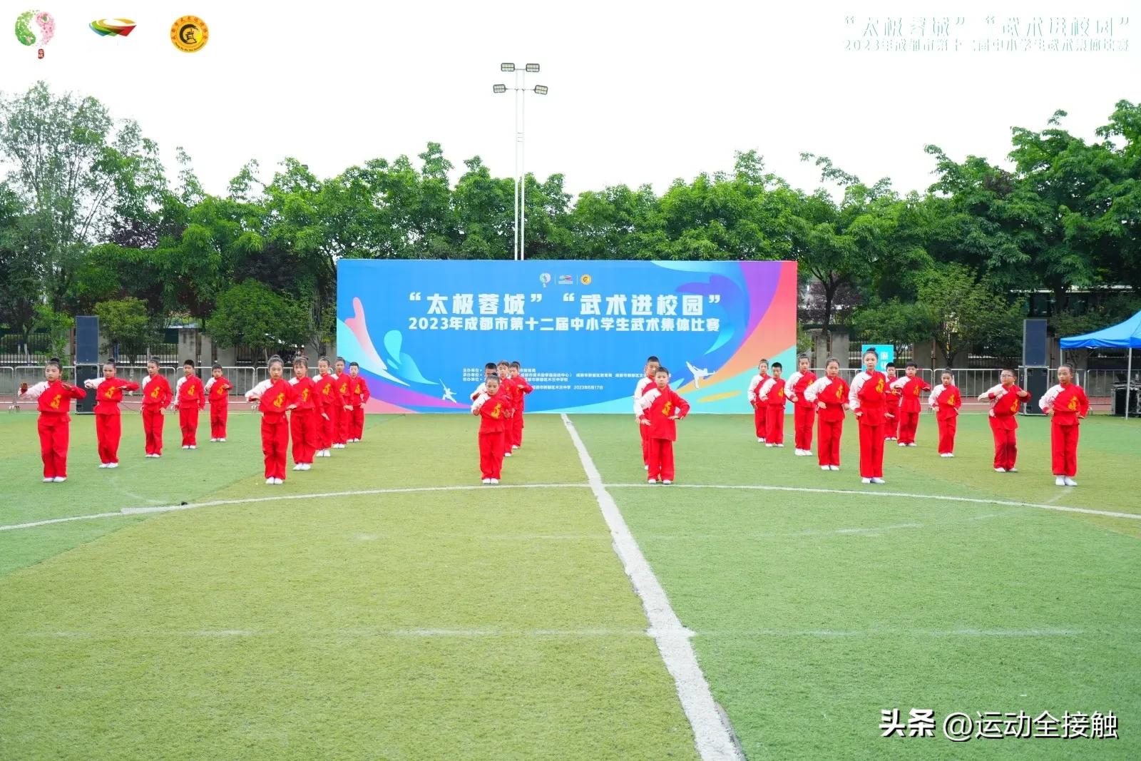 四川省学生武术公开赛,2019年四川省青少年武术比赛