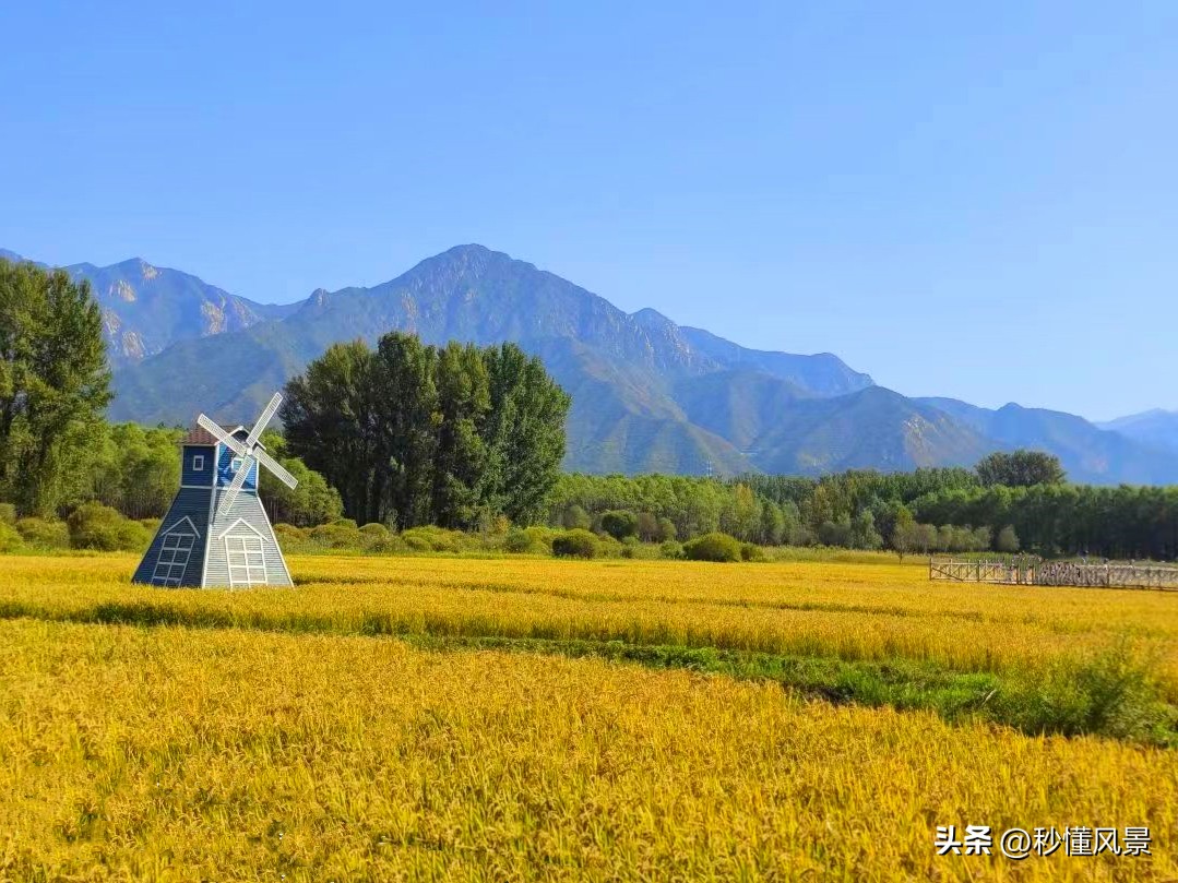 <html>
<head><title>502BadGateway</title></head>
<body>
<center><h1>502BadGateway</h1></center>
<hr><center>nginx</center>
</body>
</html>
<!--apaddingtodisableMSIEandChromefriendlyerrorpage-->
<!--apaddingtodisableMSIEandChromefriendlyerrorpage-->
<!--apaddingtodisableMSIEandChromefriendlyerrorpage-->
<!--apaddingtodisableMSIEandChromefriendlyerrorpage-->
<!--apaddingtodisableMSIEandChromefriendlyerrorpage-->
<!--apaddingtodisableMSIEandChromefriendlyerrorpage-->
