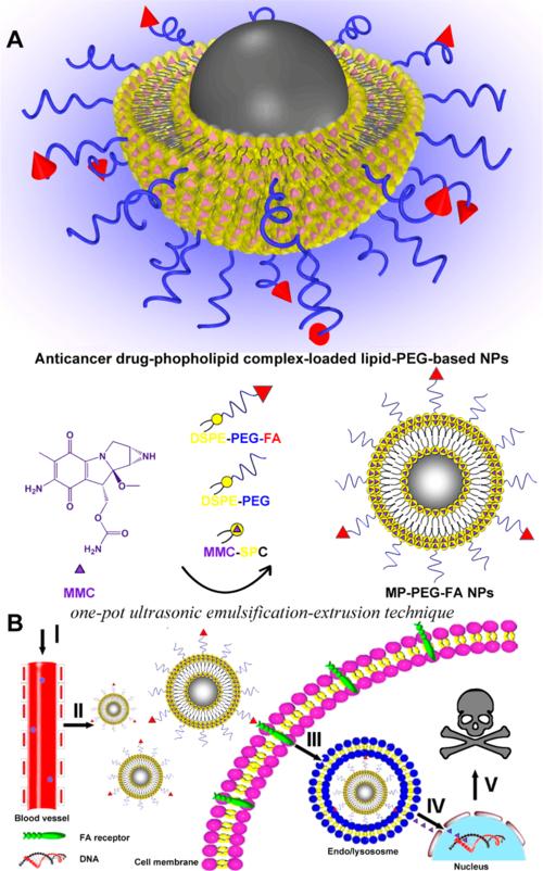 细菌进化后的抗生素,细菌进化变异