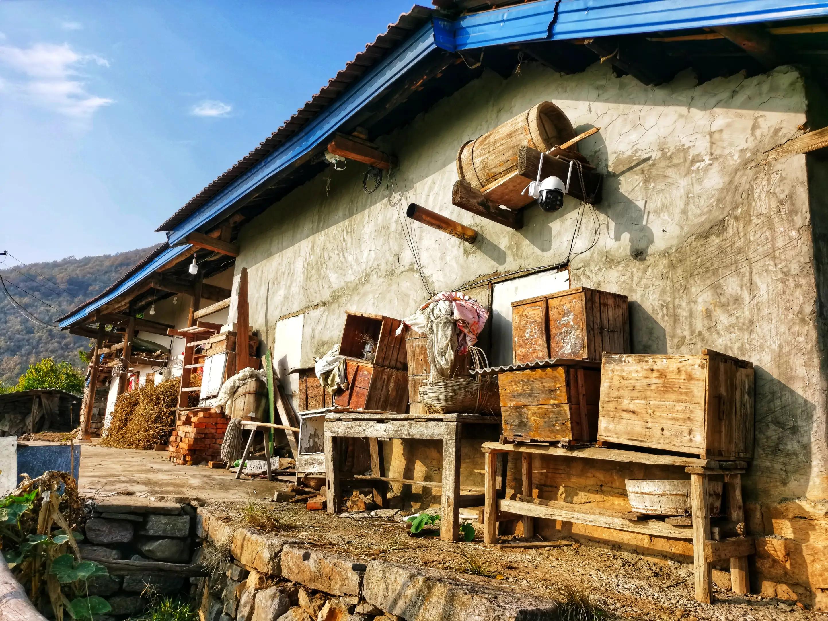 蜜蜂嗡嗡*花采**忙秋风送爽带蜜香，甜蜜事业甜蜜歌，蜜蜂酿蜜乐山乡