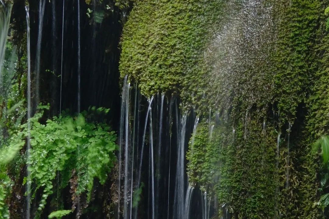 富士x-s20高感测评,富士x-s20几画幅