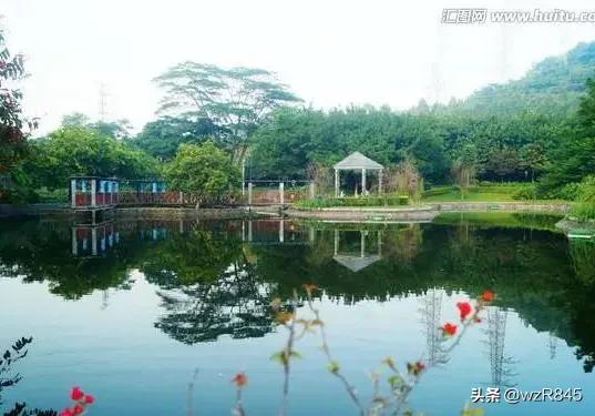 深圳宝安公园一日游攻略,深圳旅行日记十三集
