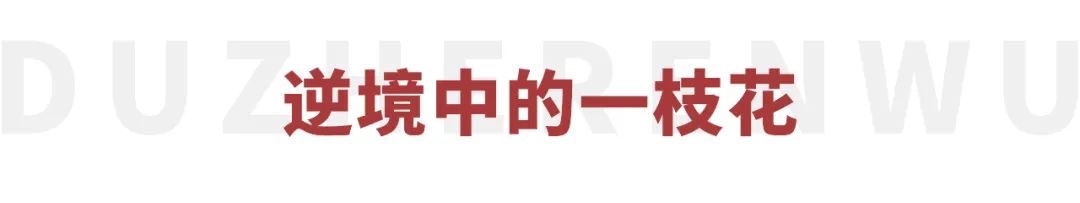 李雪琴一个人的节目,李雪琴最开始怎么火的