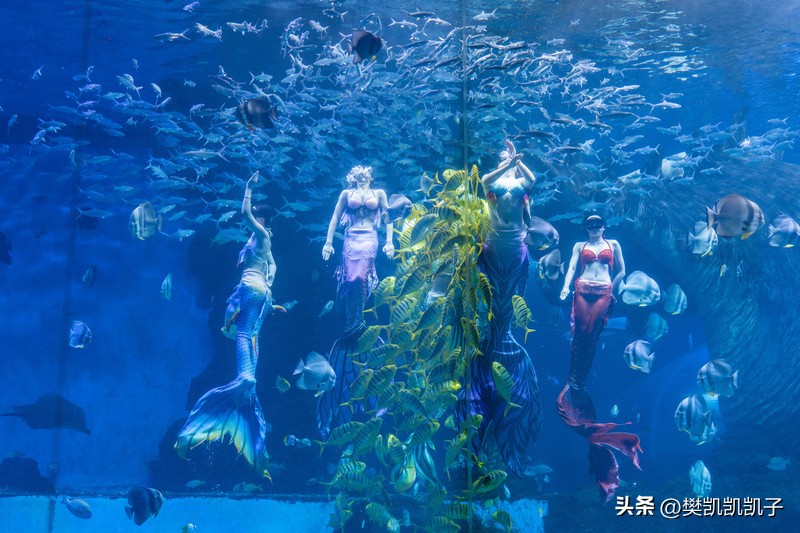 自驾游景点推荐江西赣南,赣南景点自驾游旅游攻略