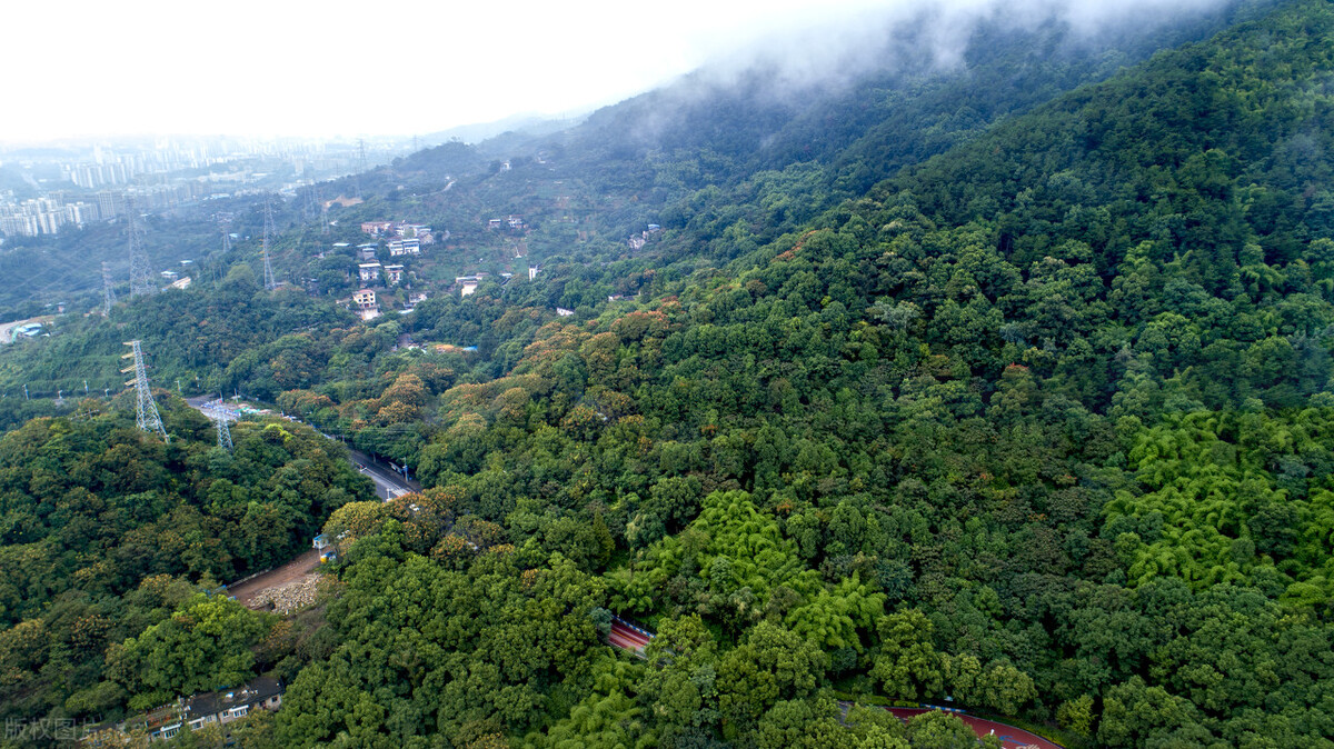 中国最热北碚天气多少度,45度高温的北碚