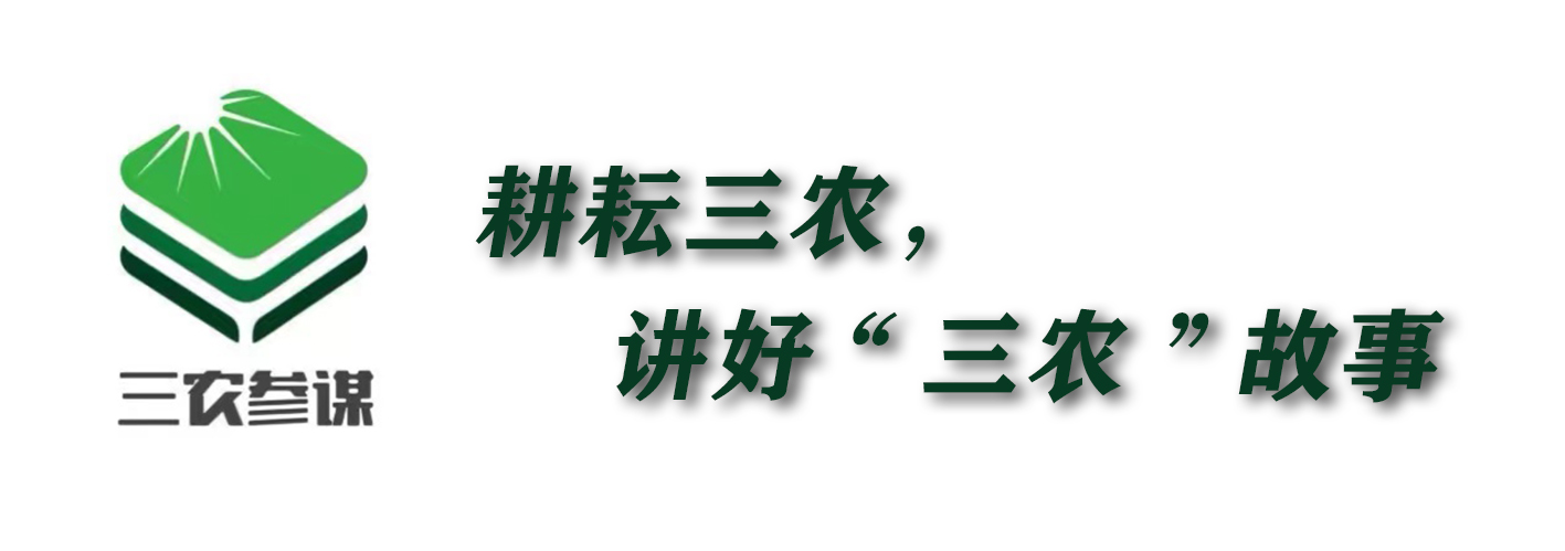 农村老房翻建这五种情况不被允许,现在农村老房翻建有什么规定